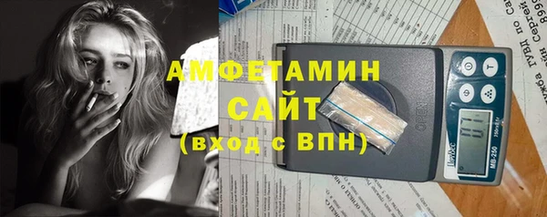 ПСИЛОЦИБИНОВЫЕ ГРИБЫ Вязники